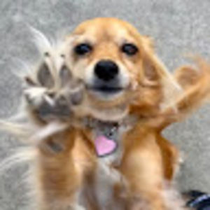 Meet your Posher, Firestarter